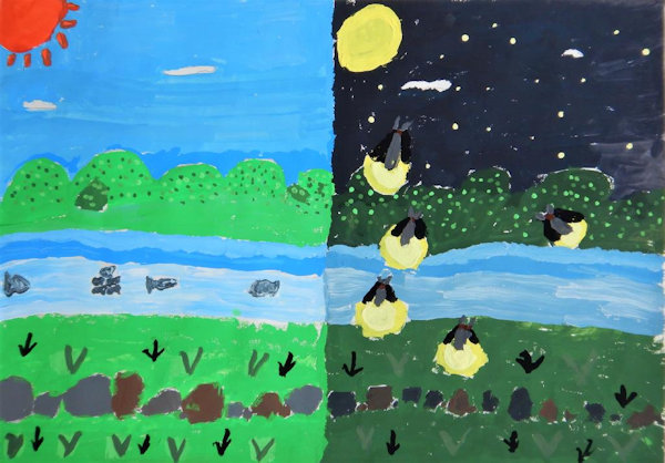 昼と夜の川の様子