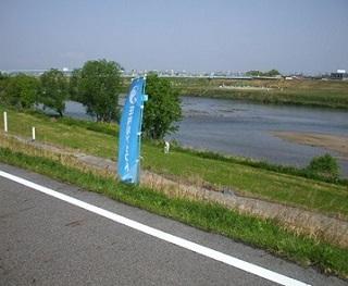 pic01