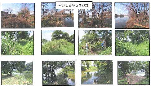 自然体験フィールド