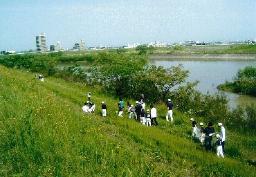 活動状況