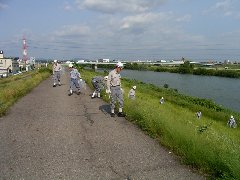 活動状況