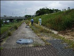 活動状況