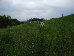 活動状況