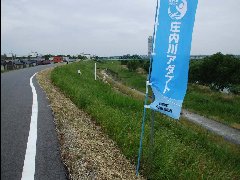 活動状況