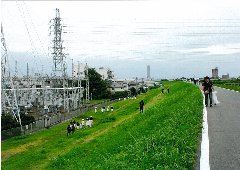 活動状況
