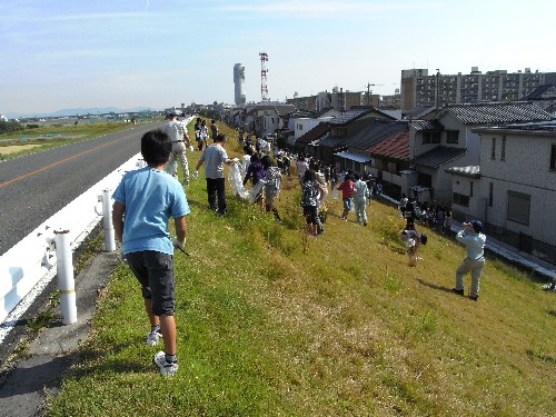 活動状況