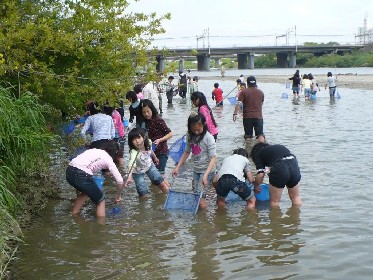新川小学校