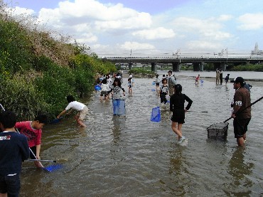 新川小学校