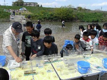 新川小学校