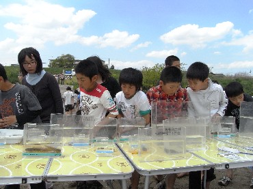 新川小学校
