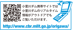 gтURL𑗂