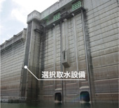 I搅ݔEʐ^