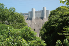 �؁X�̍��Ԃ���̂���������_��