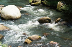 ��̂����炬(�_������)