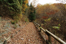 ���t�̂������V����