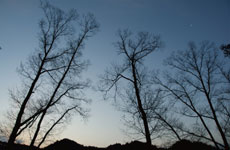 ���݂����������̋�