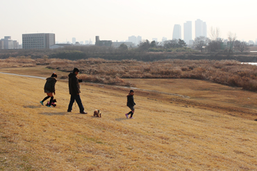 河川敷を散歩する人と犬