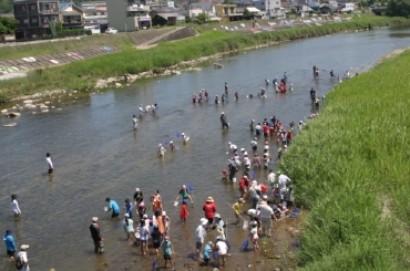 うながっぱ土岐川遊び07
