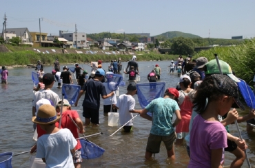 うながっぱ土岐川遊び08