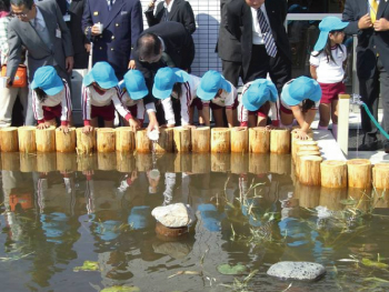 メダカ放流の写真