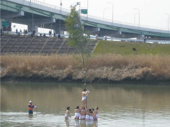 きねこさ祭の写真