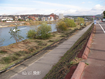 土岐川左岸 多治見橋上流の写真