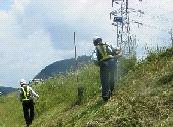 【作業前】 伸びきった大量の草