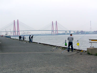 下流部（河口～庄内緑地公園付近）の写真