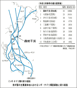 藤前干潟