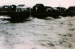 昭和32年8月出水　多治見市昭和橋の状況
