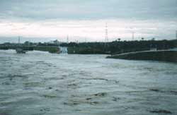 昭和63年9月出水　新川洗堰地点（堤防が低い部分）