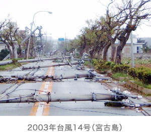 2003年台風14号（宮古島）