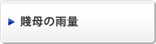 賤母の雨量
