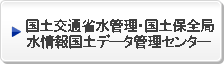 国土交通省水管理・国土保全局水情報国土データ管理センター