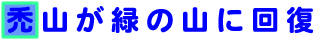 o@ÎR΂̎Rɉ