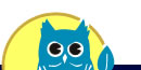C[WLN^[@̂