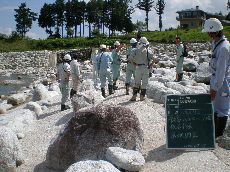 転石部会の画像-1