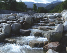 片桐松川床固工群（片桐松川）