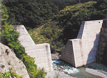 大渡砂防堰堤（支川上村川）