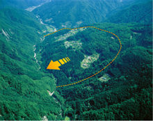 此田地区航空写真