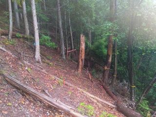 G 遠山川砂防出張所 工事状況の画像-6