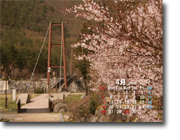 ２００９年４月『春のこまくさ橋（駒ヶ根市）』