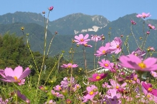 中央アルプス東麓の地形景観と田園風景