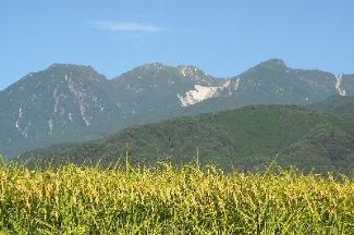 中央アルプス東麓の地形景観と田園風景