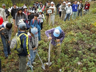 与田切ネットワーク自然発見