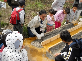 与田切ネットワーク模型実験