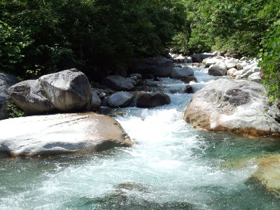 渓流のステップ＆プール