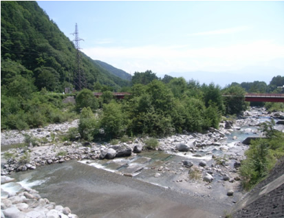 伐採前の駒ヶ根橋周辺の様子
