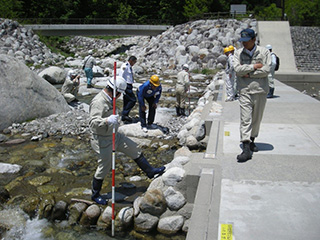 合同点検の様子