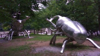 クワガタＶＳカブトムシ